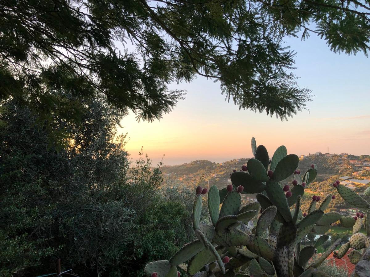 Villa D'Artisti Sanremo Dış mekan fotoğraf