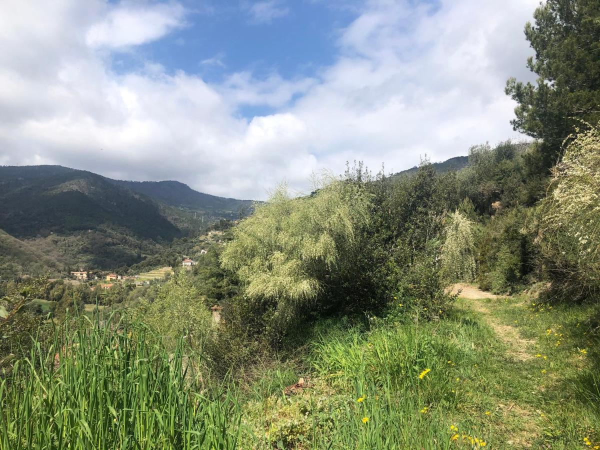 Villa D'Artisti Sanremo Dış mekan fotoğraf