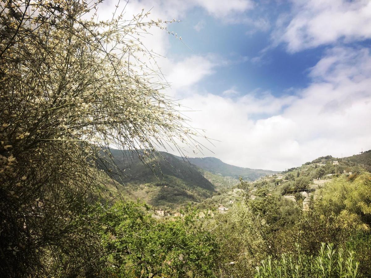 Villa D'Artisti Sanremo Dış mekan fotoğraf