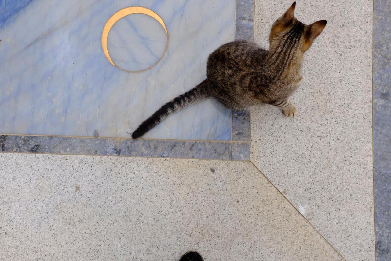 Villa D'Artisti Sanremo Dış mekan fotoğraf