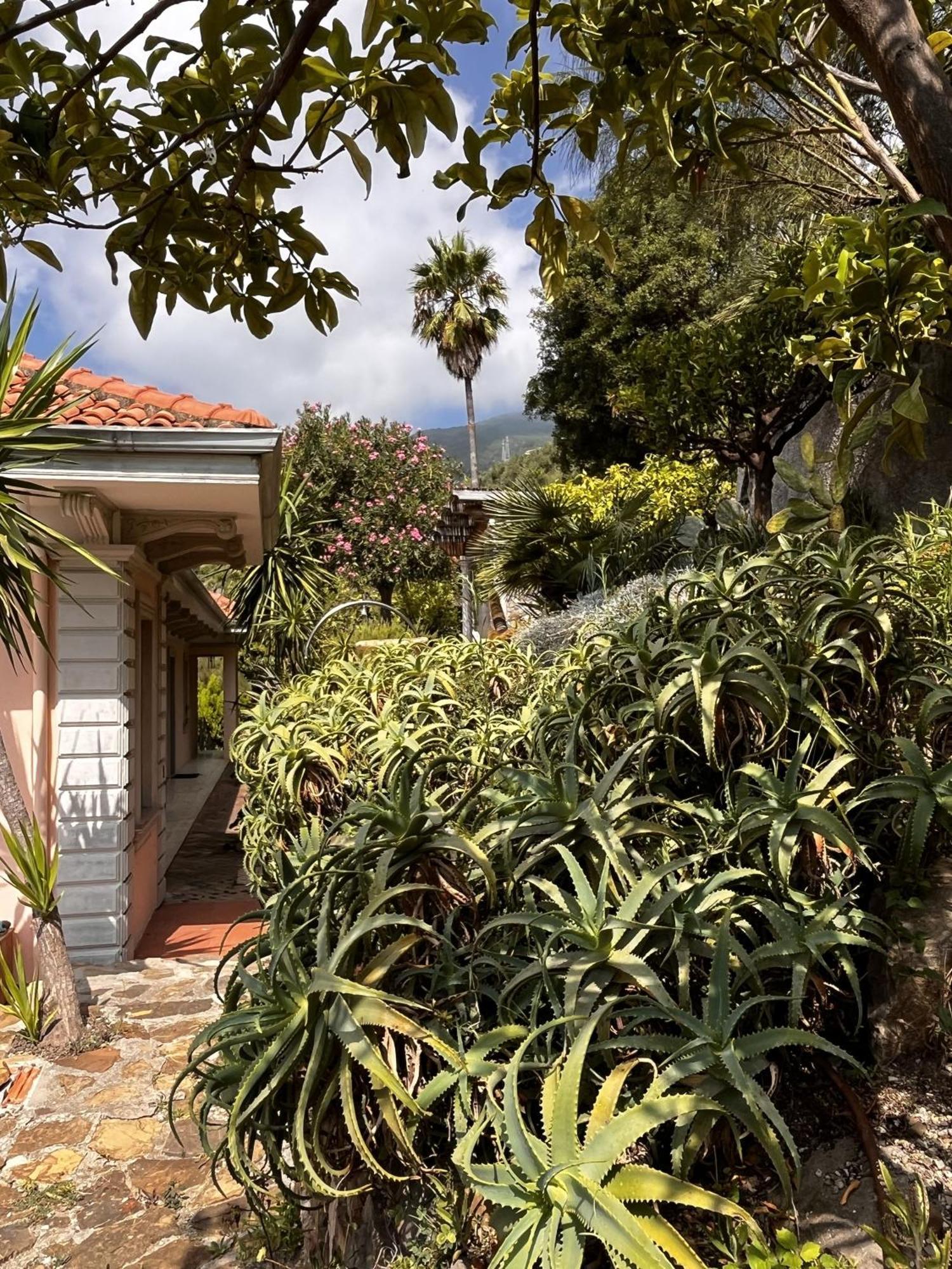 Villa D'Artisti Sanremo Dış mekan fotoğraf