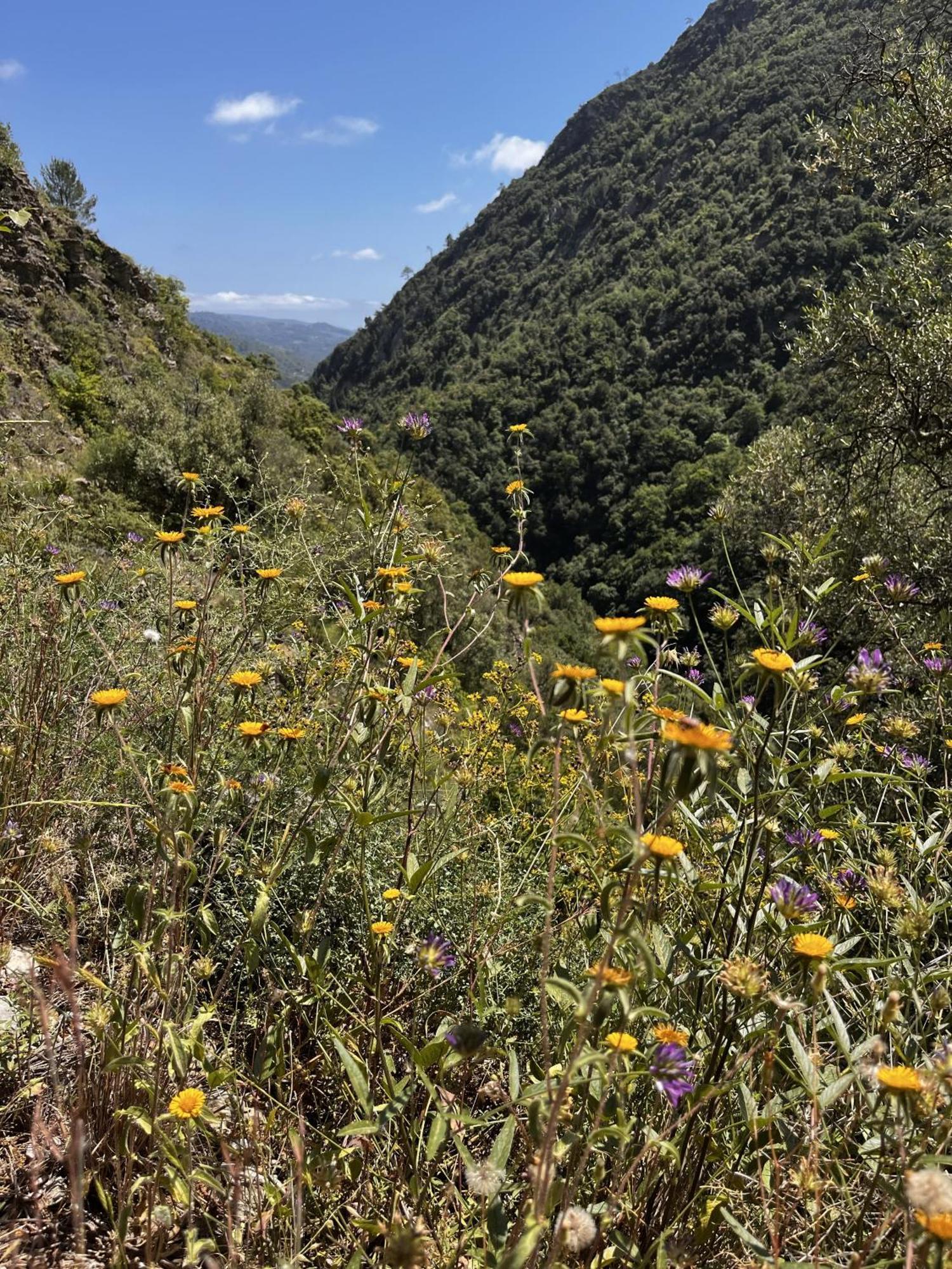 Villa D'Artisti Sanremo Dış mekan fotoğraf