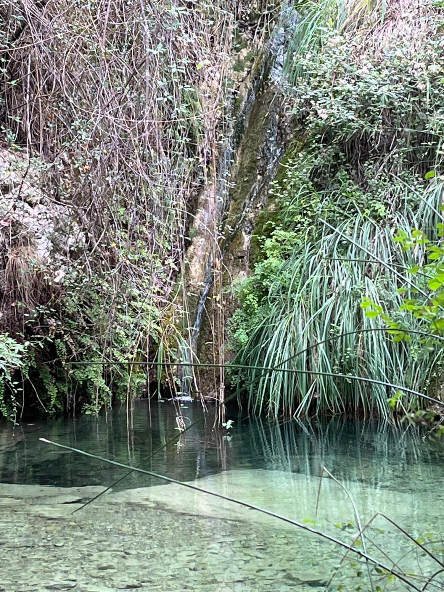 Villa D'Artisti Sanremo Dış mekan fotoğraf